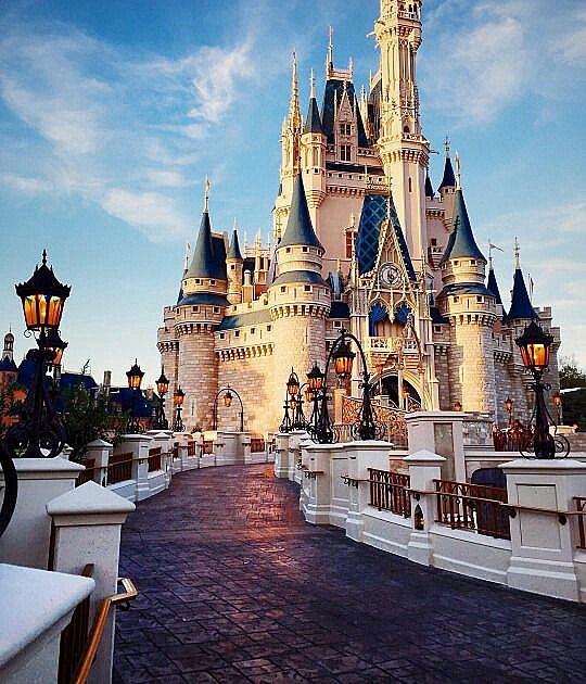 Walt Disney world 