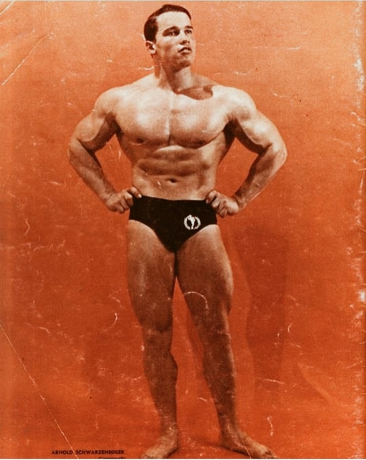 arnold schwarzenegger