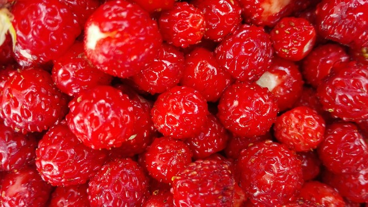 redd