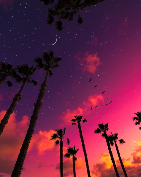 Sky