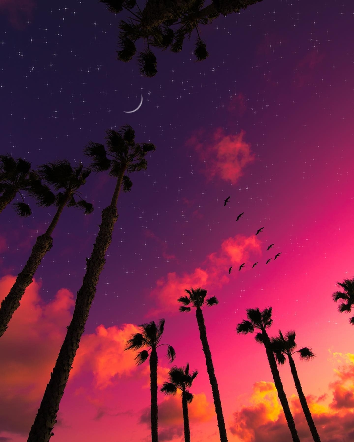 Sky