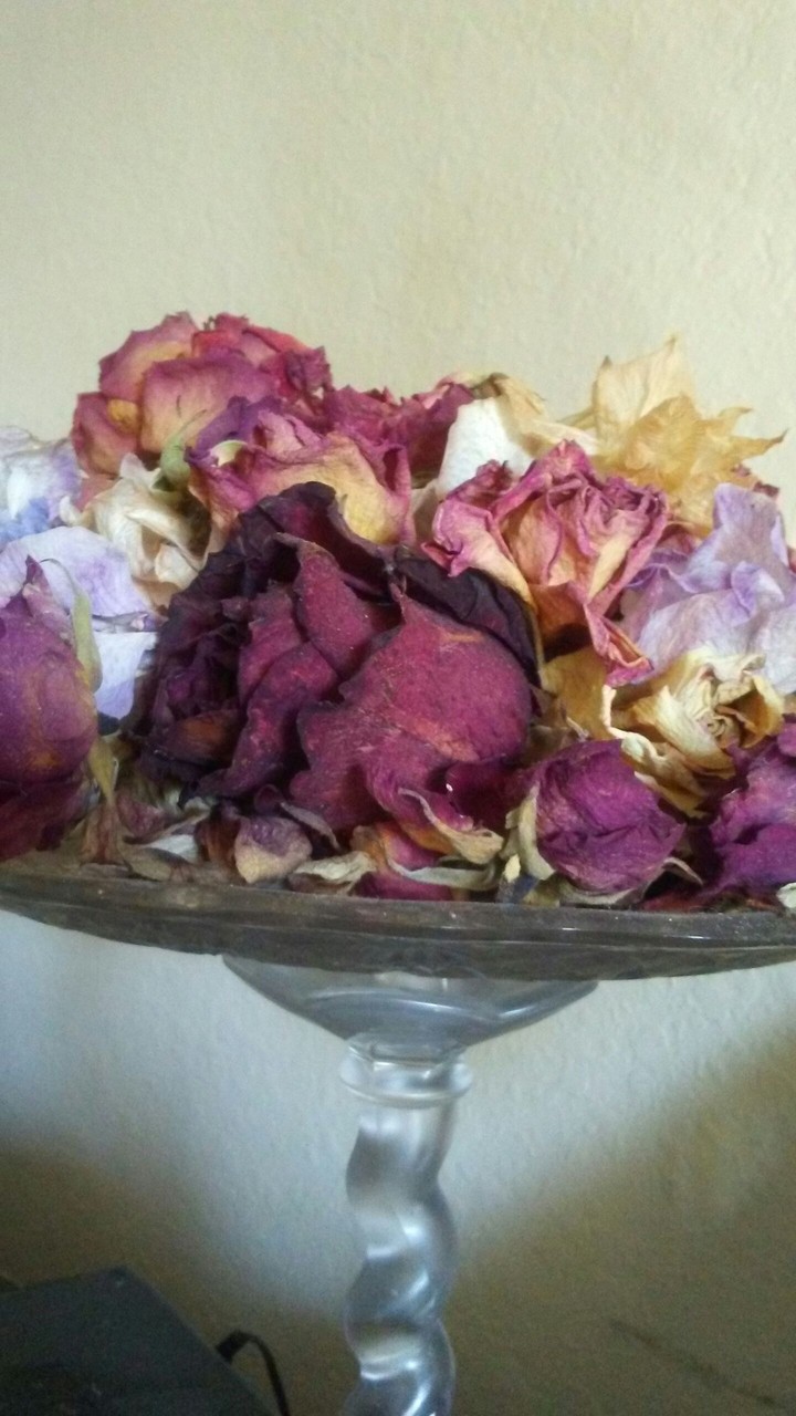 Arrangements of dry flowers