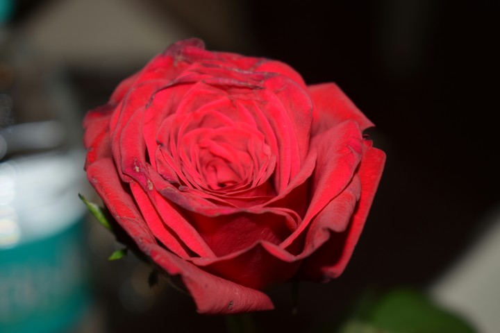 ##Still life photography##For special one