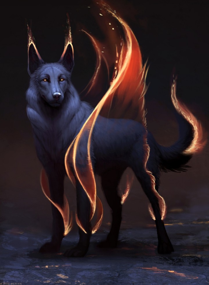 dogs
