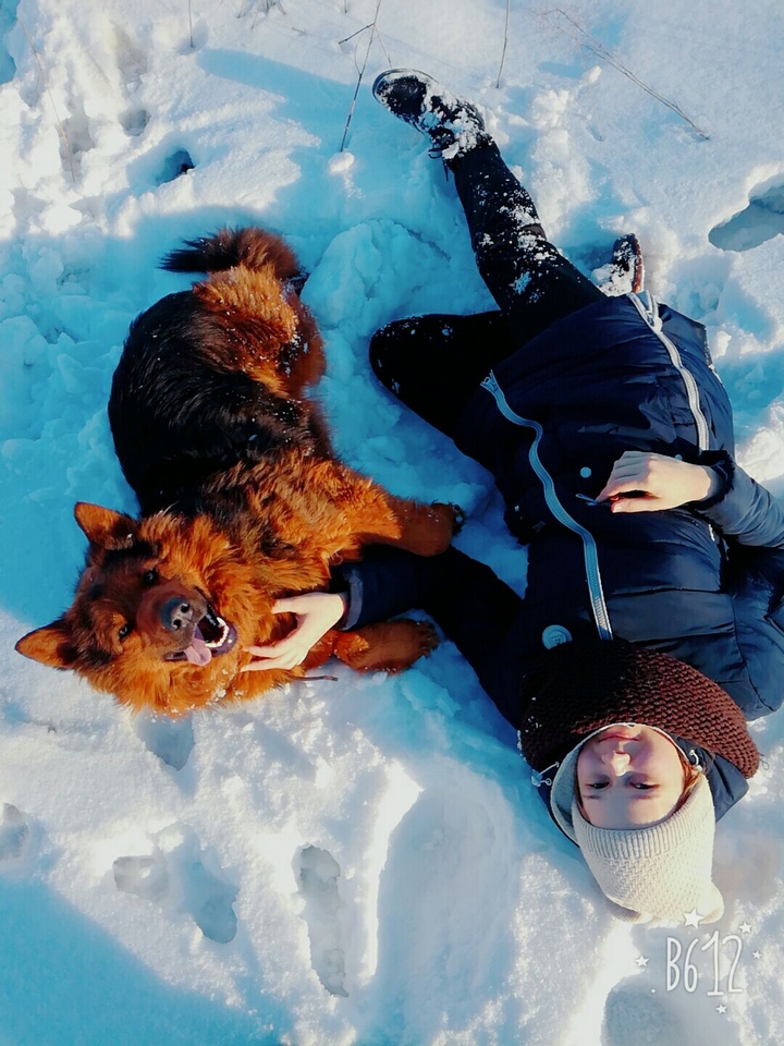 Друзья
