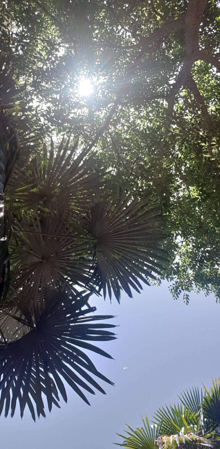 sky