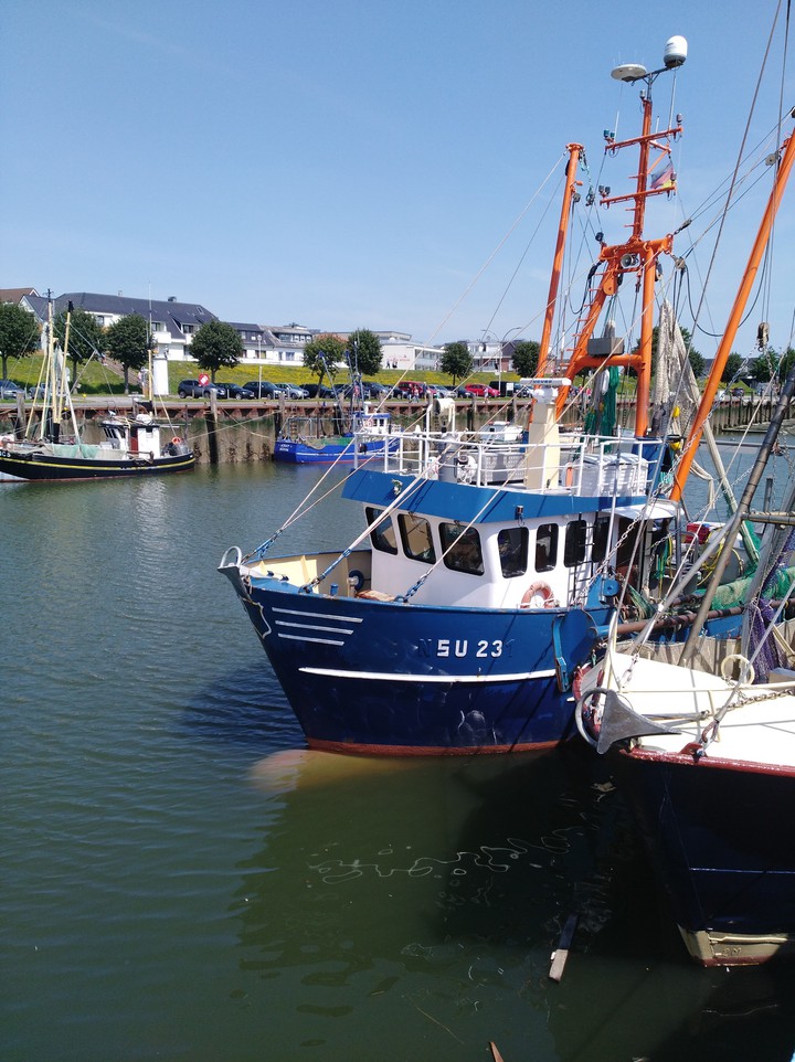 Nordsee Krabbenkutter