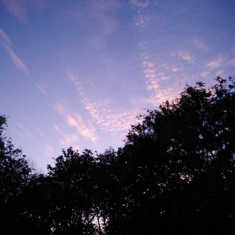 no filters, btw?