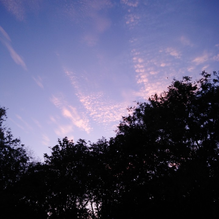 no filters, btw?