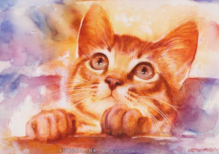 cat