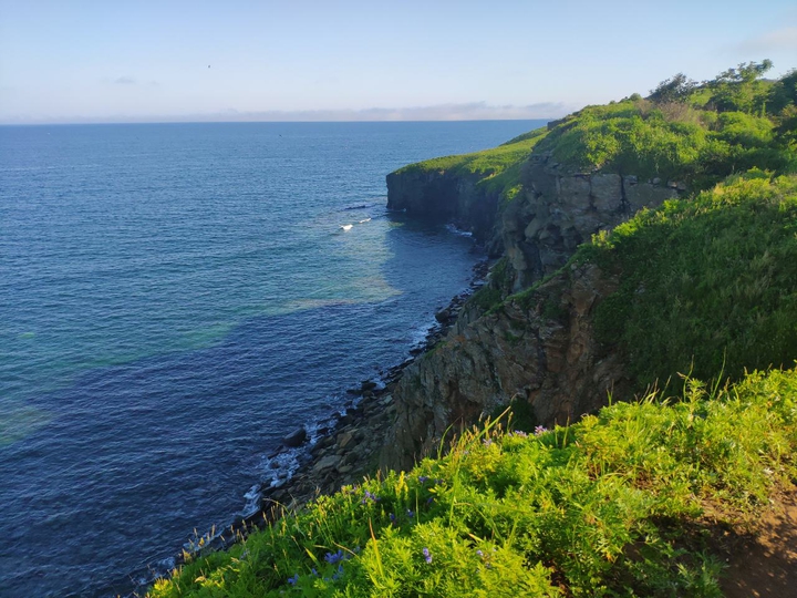 sea