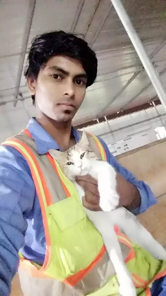 Papu sathi
