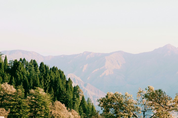Greenery in the valley