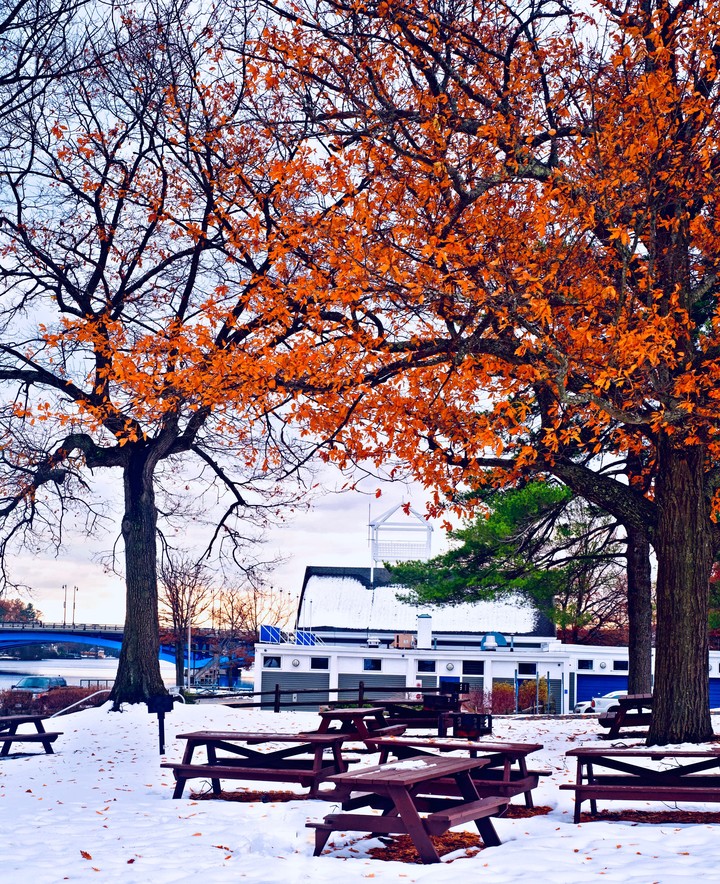 Autumnal Winter