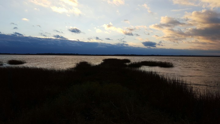 Marsh