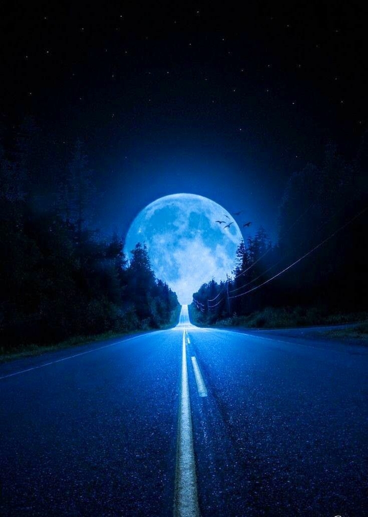Blue moonlight!✨