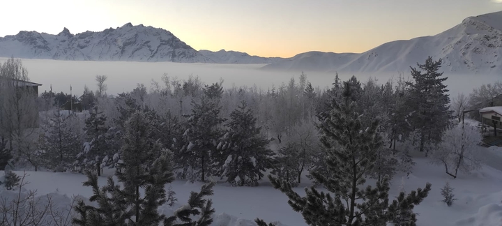 WİNTER