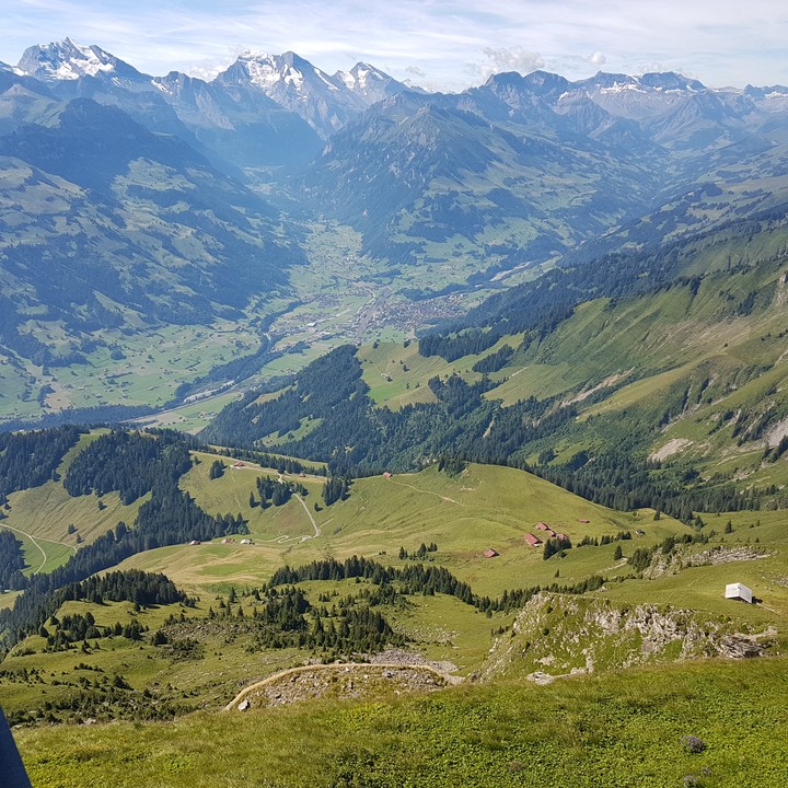 Schweiz, Berge