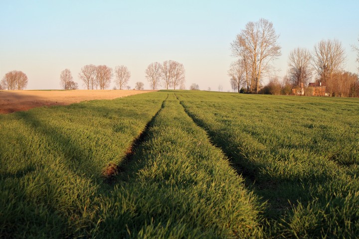 traces