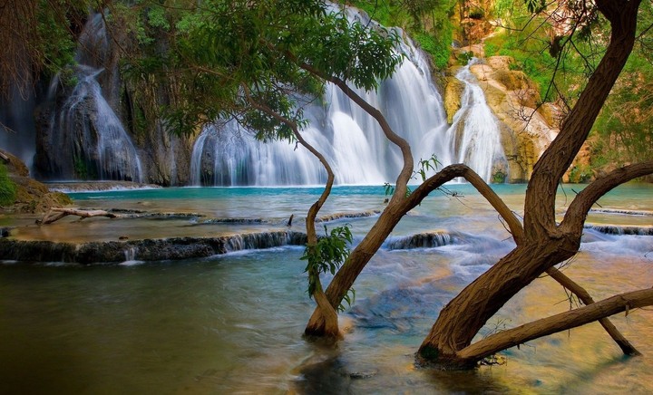 beautiful nature