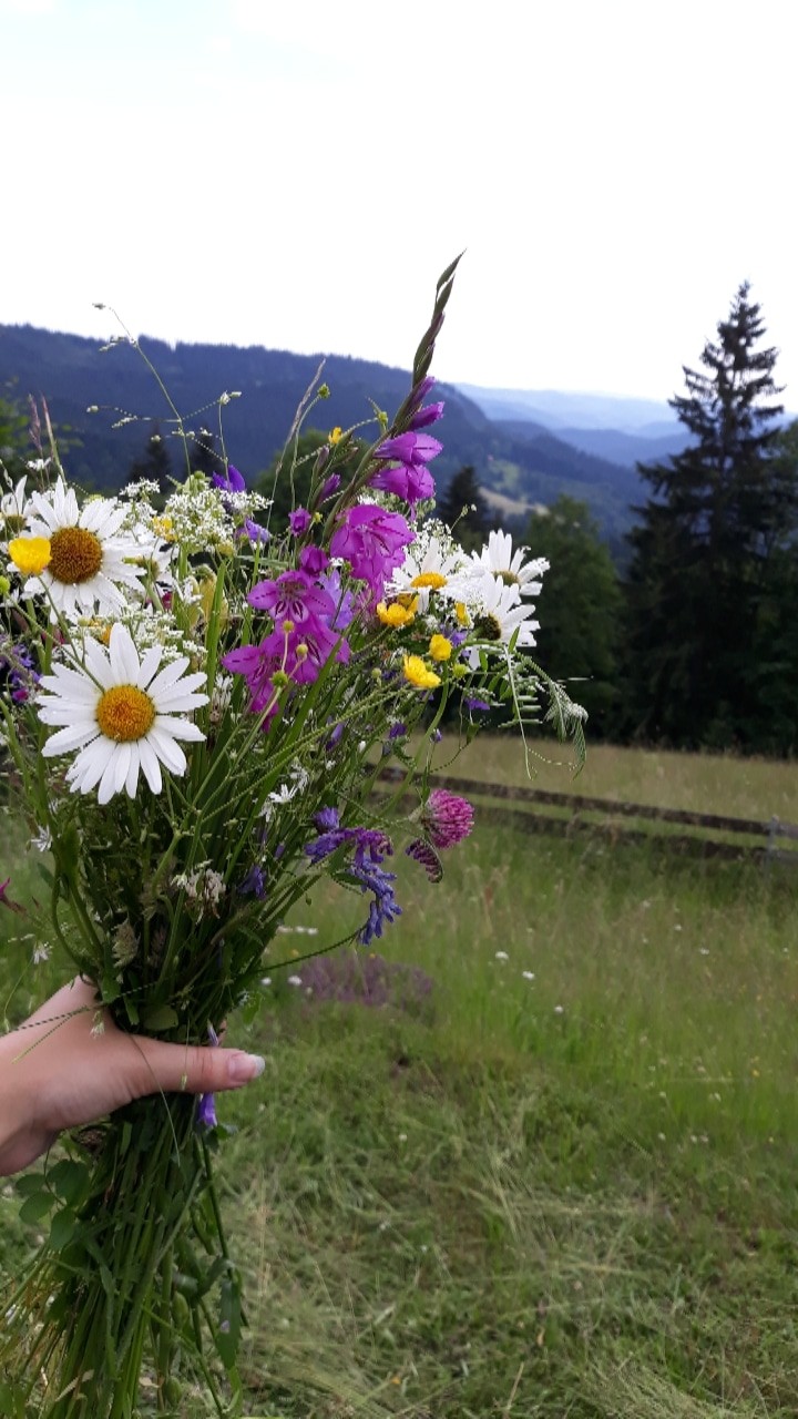 flowers