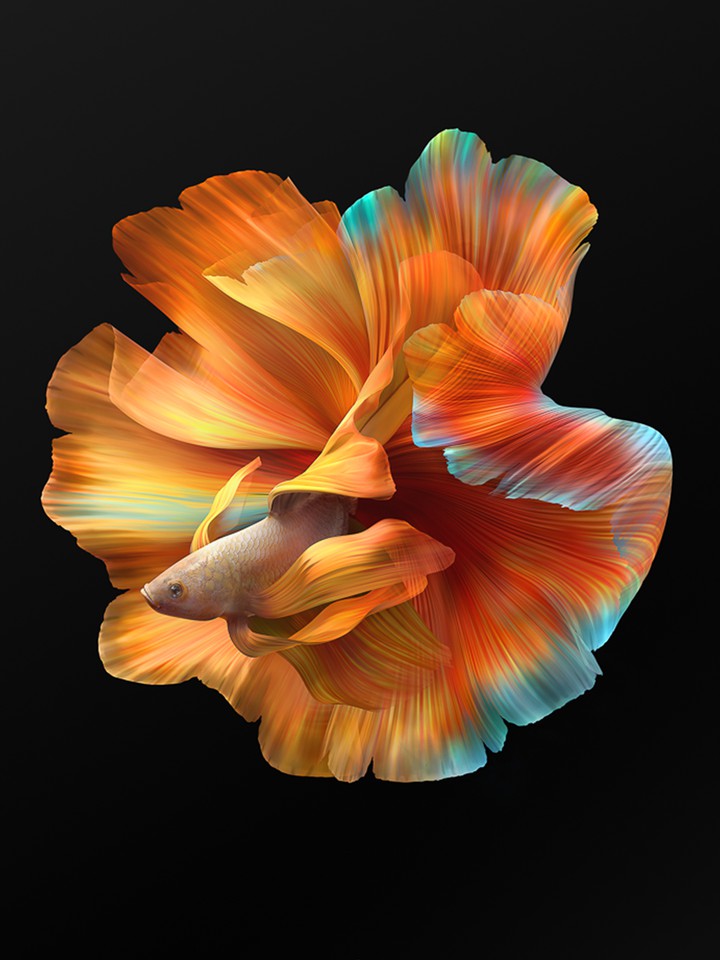 mi mix fold wallpaper