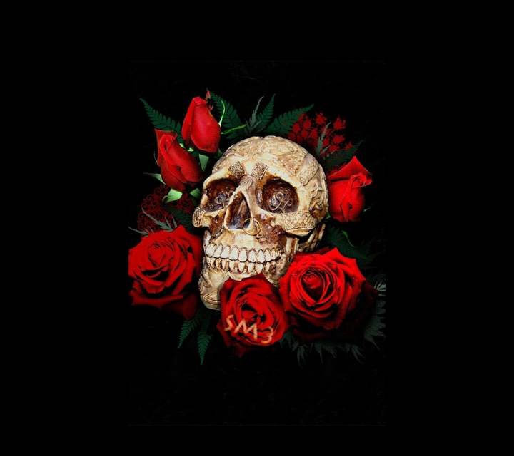 skull n' roses