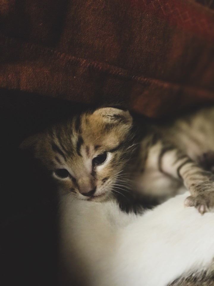 Cute lil guy