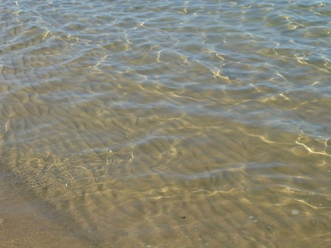 Ripples in the water