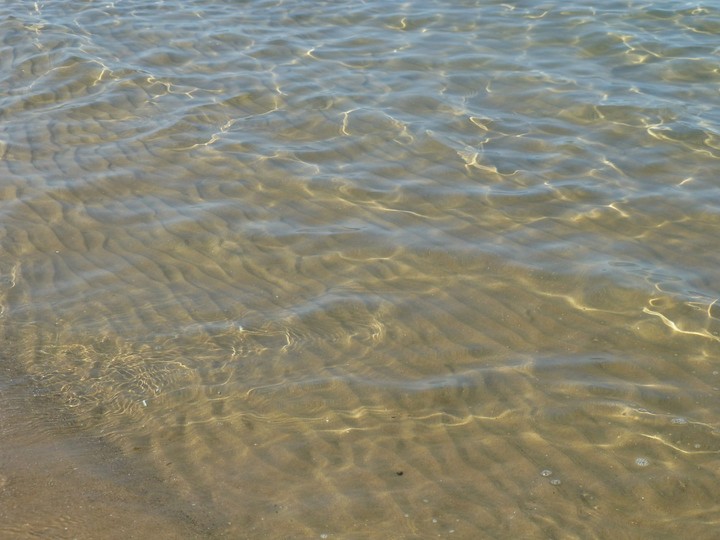 Ripples in the water