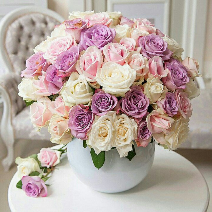 Roses