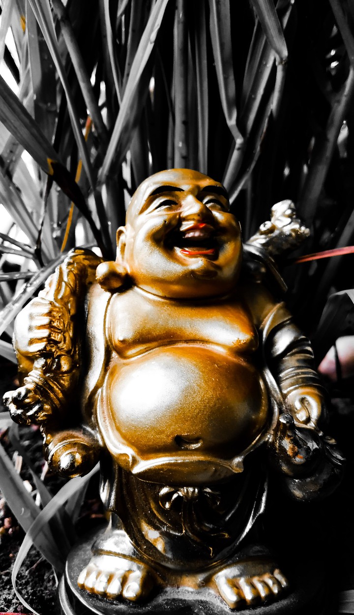 laughing buddha