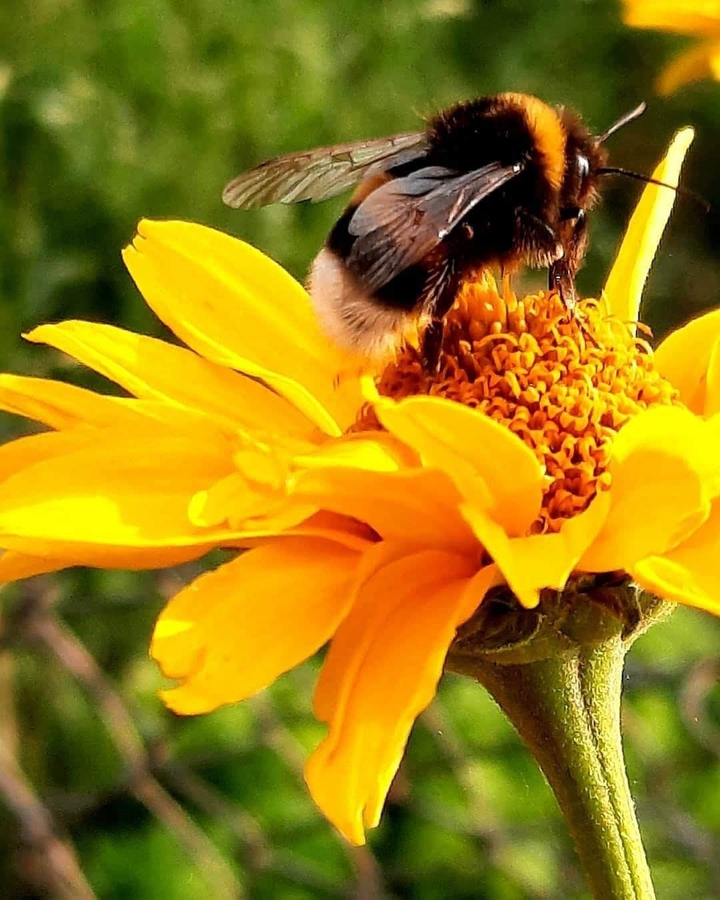 Wunderschöne Natur❤❤❤
