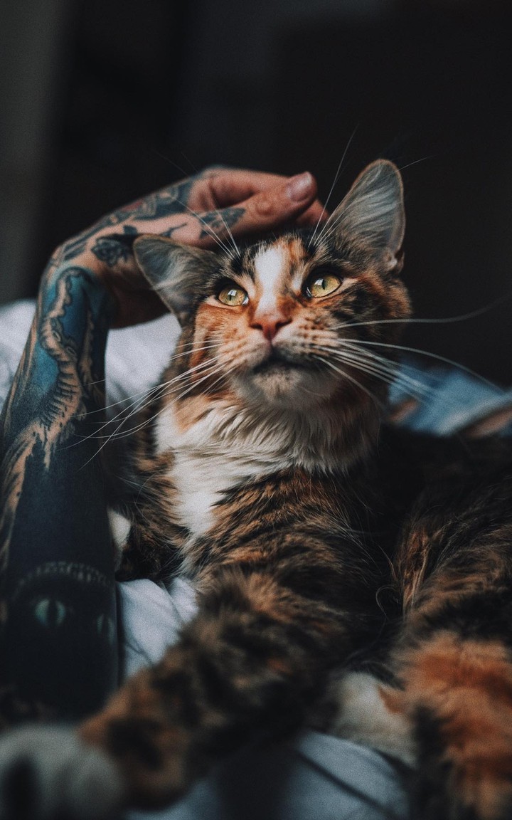 ♥️