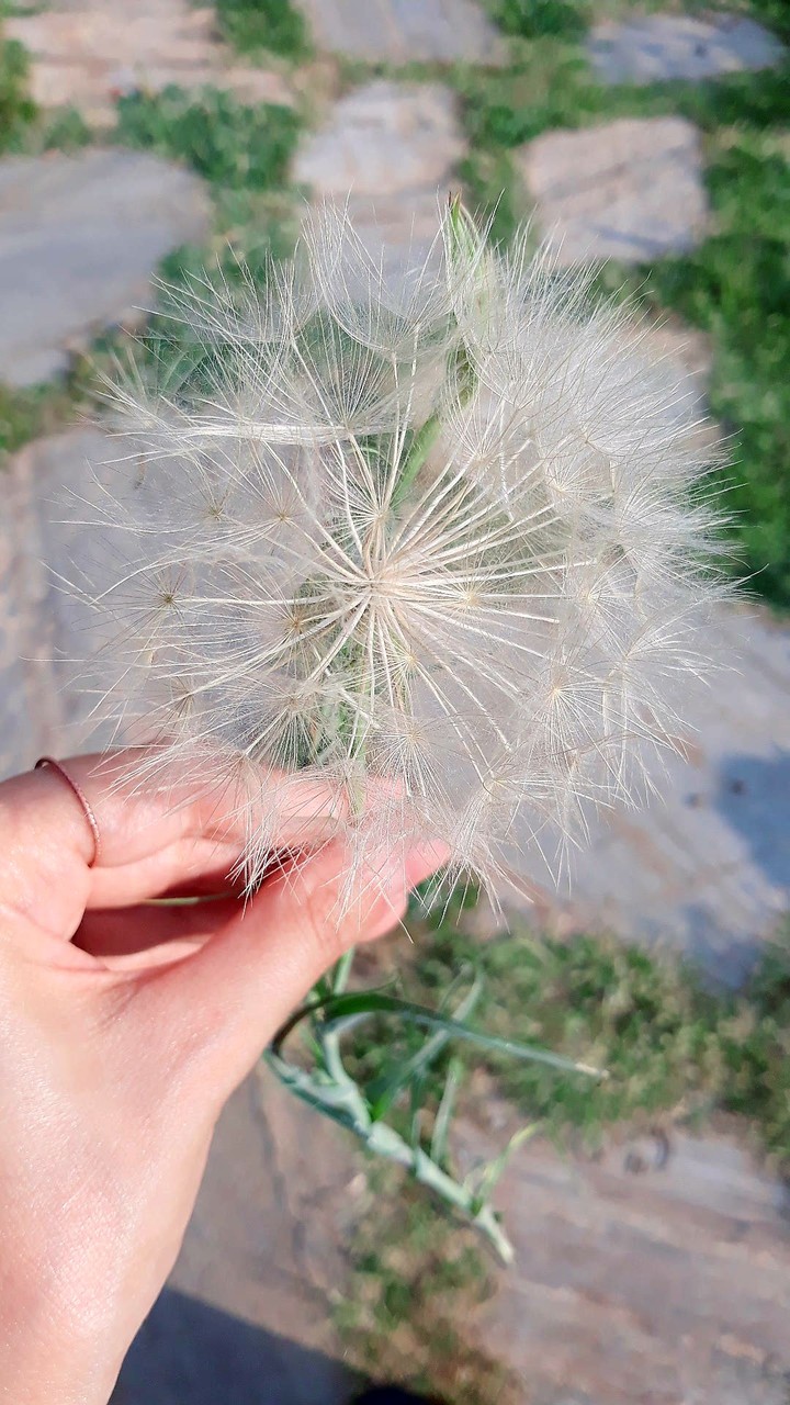 ?