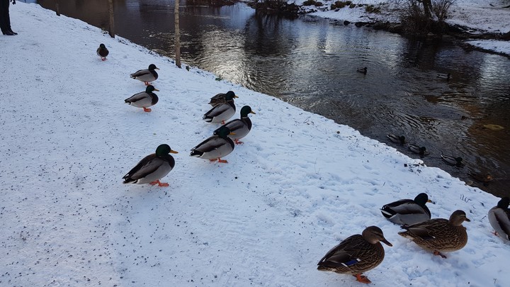 #oslo #norway