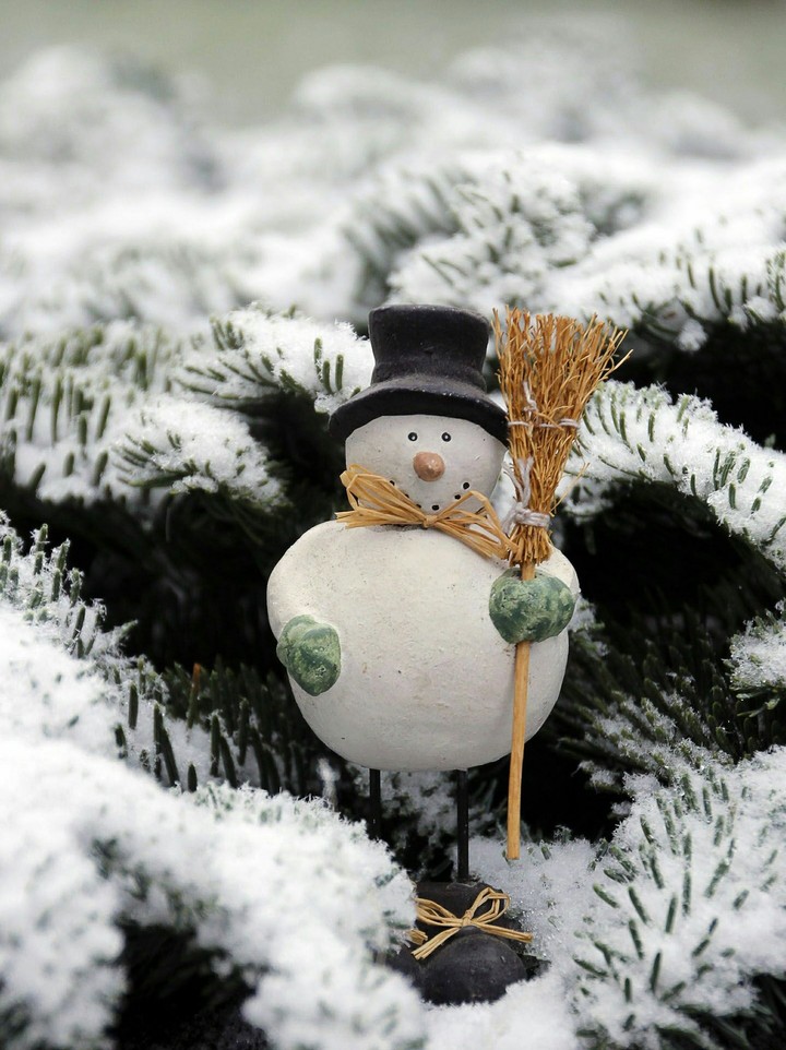 Snow man