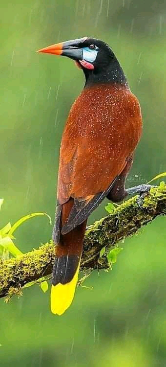 beautiful?