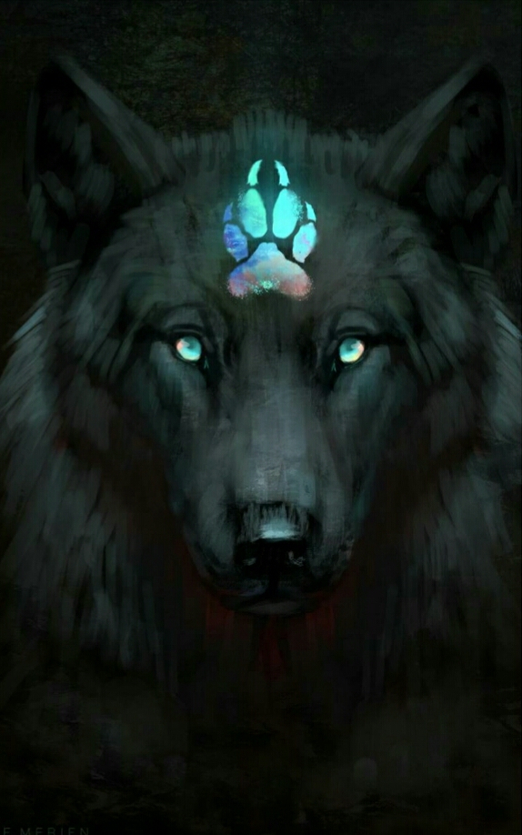 wolf