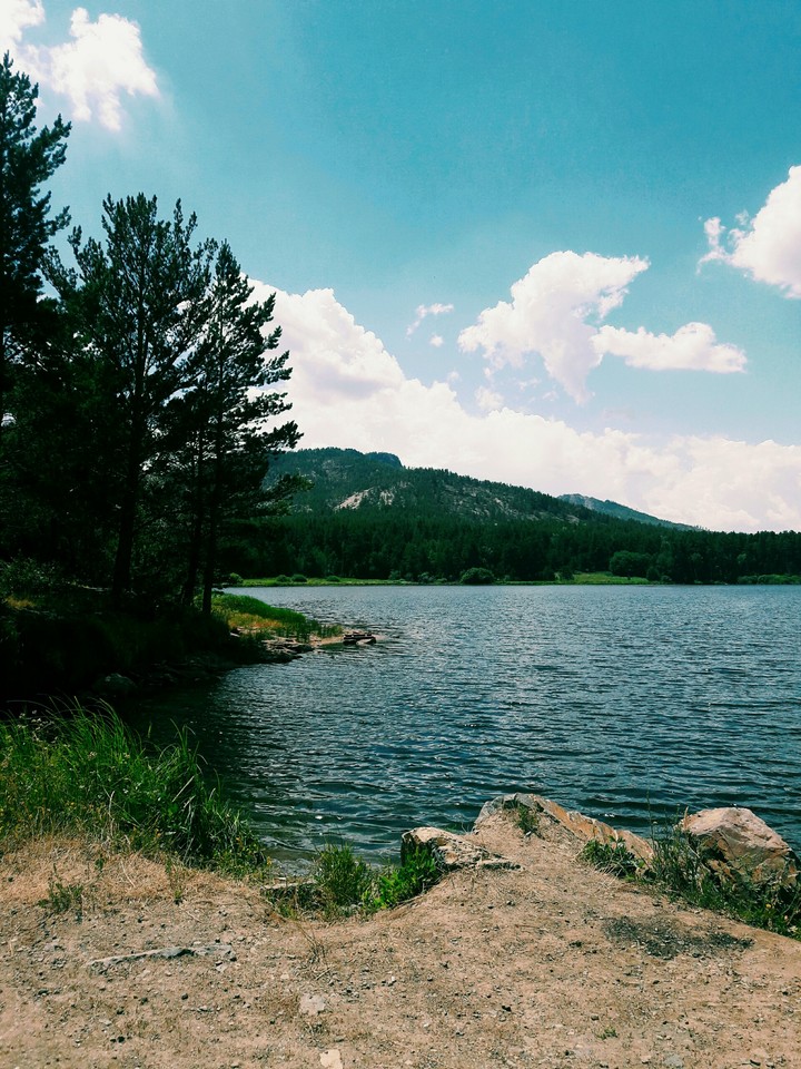 nature