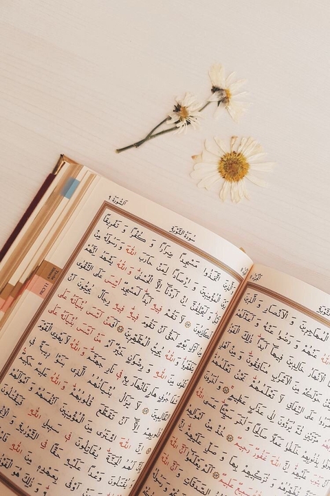 sfondi flower, writing