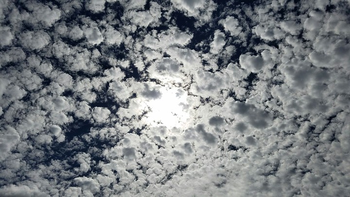 Altocumulus clouds