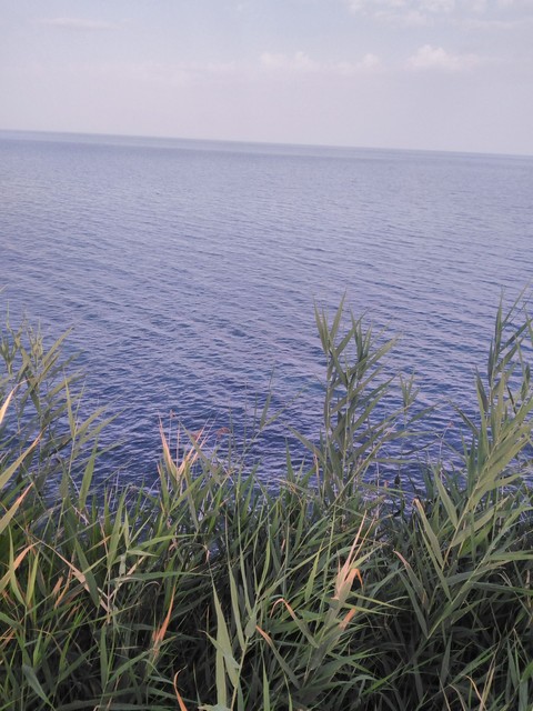 hd fotograf