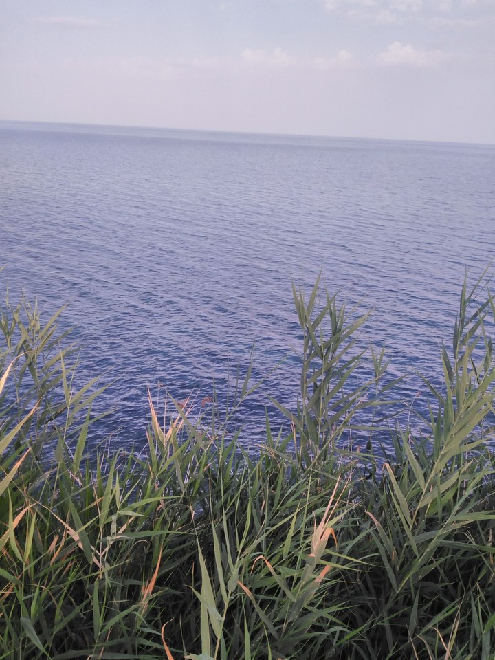 hd fotograf