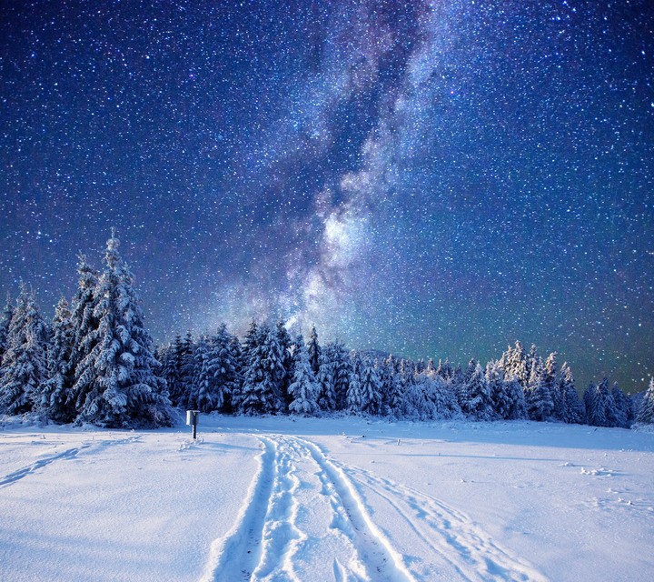Stars