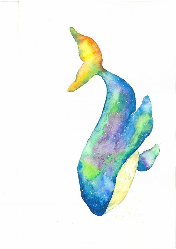 whale