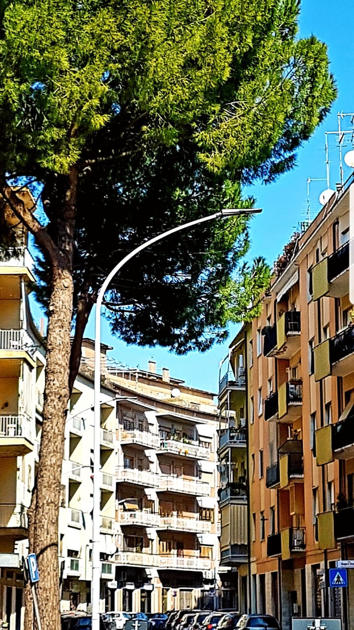 Sfondi