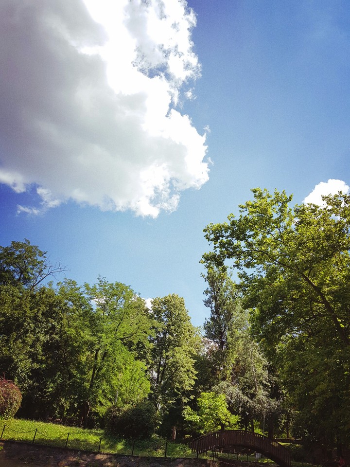 I love nature !