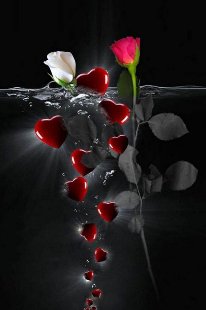 Цветы, любовь, love, flowers