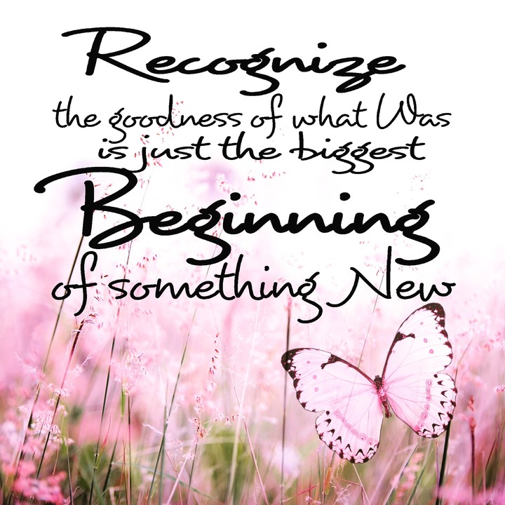 beginning fresh